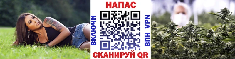 Бошки марихуана тримм Избербаш